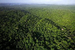 Images Dated 7th March 2007: aerial view of tropical lowland forest in Soberania National Park, Panama