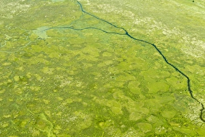 Uganda Collection: Aerial view of wetlands to the south west of Lake Victoria. Uganda