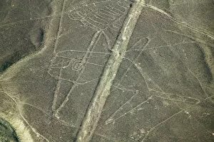 Aerial view of whale drawing, Nazca Lines, Peru