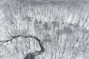 Images Dated 9th June 2021: Aerial view of woods after a snowfall, Marion County, Illinois