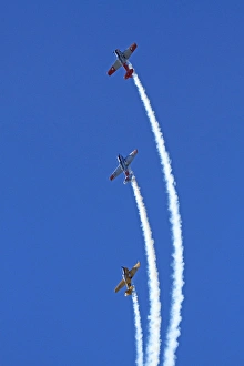Images Dated 7th April 2012: Aerobatic display by North American Harvards, or T-6 Texans, or SNJs