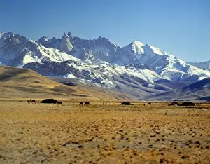 Afghanistan Prints: Afghanistan, Bamian Valley. A Kuchi nomad camp in Bamian Valley, a World Heritage Site