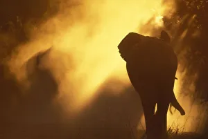 Africa, Botswana