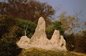 Africa, Botswana