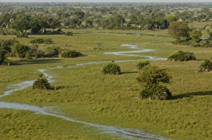 Images Dated 16th October 2005: Africa, Botswana