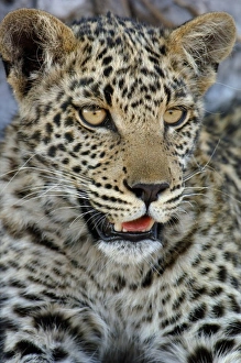 Africa, Botswana