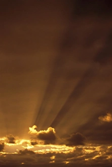 Beam Prints: Africa, Botswana. Dramatic godbeams
