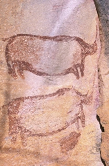 Africa, Botswana, Tsodillo Hills. Bushman paintings