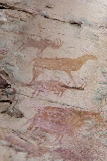 Rock Art Prints: Africa, Botswana, Tsodilo Hills. Ancient Bushman rock art. (UNESCO World Heritage