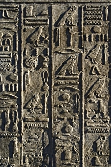 Images Dated 22nd November 2005: Africa, Egypt