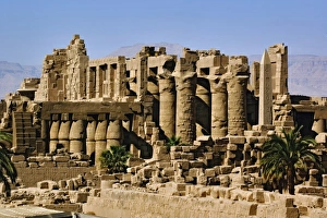 Images Dated 20th November 2005: Africa, Egypt