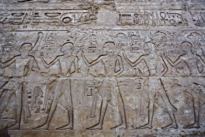 Images Dated 20th November 2005: Africa, Egypt