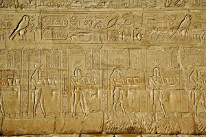 Images Dated 29th January 2006: Africa, Egypt