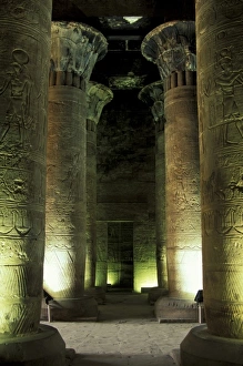 Images Dated 5th August 2010: Africa, Egypt