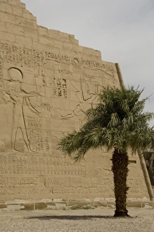 Africa, Egypt