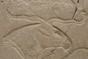Africa, Egypt