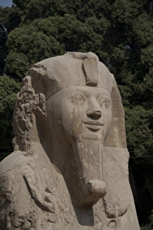 Africa, Egypt