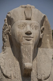 Images Dated 10th May 2009: Africa, Egypt