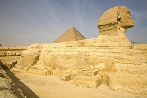 Images Dated 20th January 2009: Africa, Egypt