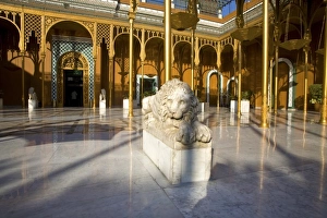 Images Dated 20th January 2009: Africa, Egypt
