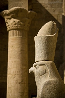 Images Dated 26th January 2009: Africa, Egypt