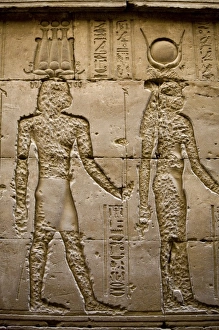 Images Dated 26th January 2009: Africa, Egypt