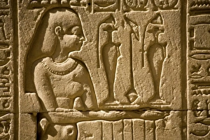 Images Dated 26th January 2009: Africa, Egypt