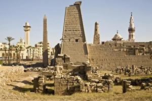 Images Dated 27th January 2009: Africa, Egypt
