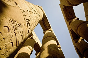 Images Dated 28th January 2009: Africa, Egypt