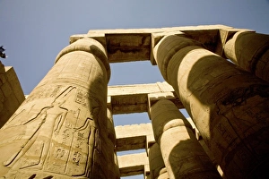 Images Dated 28th January 2009: Africa, Egypt