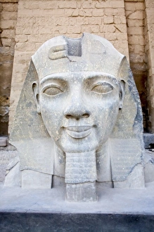 Images Dated 29th January 2009: Africa, Egypt