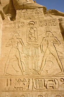 Images Dated 24th January 2009: Africa, Egypt