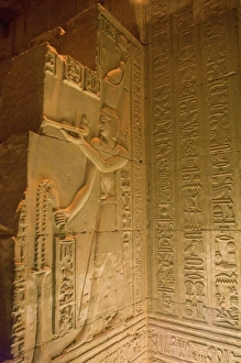 Images Dated 25th January 2009: Africa, Egypt