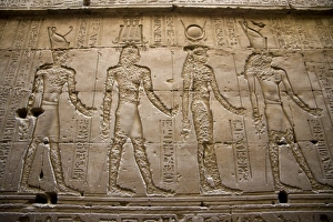 Images Dated 26th January 2009: Africa, Egypt