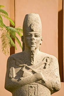 Images Dated 27th January 2009: Africa, Egypt