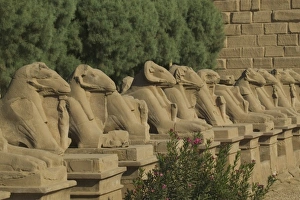 Images Dated 18th October 2005: Africa, Egypt