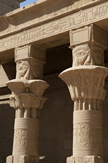 Images Dated 7th February 2009: Africa, Egypt