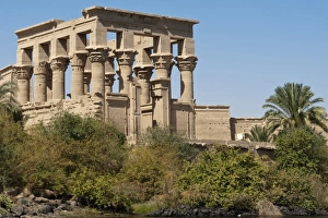 Images Dated 7th February 2009: Africa, Egypt