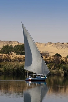 Images Dated 7th February 2009: Africa, Egypt