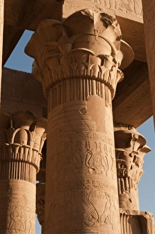 Images Dated 7th February 2009: Africa, Egypt