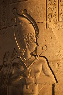 Images Dated 7th February 2009: Africa, Egypt