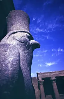 Hawk Prints: Africa, Egypt. Edfu Temple, Black Granite Statue of Horus