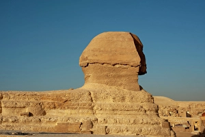 Images Dated 8th April 2024: Africa, Egypt, Giza. Side view of the famous sphinx statue in Giza