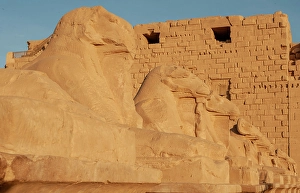 Images Dated 8th April 2024: Africa, Egypt, Luxor. Close view of the Valley of the Kings statues at sunrise
