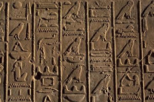 Images Dated 5th August 2010: Africa, Egypt, Luxor, Karnak Temple. Hieroglyph detail, 2nd hall of records
