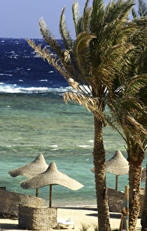 Africa, Egypt, Marsa Alam, Red Sea, lounges and umbrellas on beach