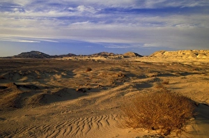 Africa, Egypt, Sinai. Sharm el-Sheikh, dunes at sunset