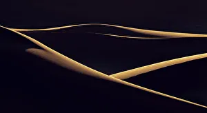 Bill Young Prints: Africa, Erg Chebbi, Morocco. Desert dune contrast