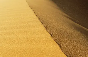 Africa, Erg Chebbi, Morocco. Desert landscape. ©Bill Young / Jaynes Gallery / DanitaDelimont.com