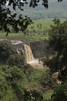 Images Dated 25th August 2004: Africa, Ethiopia